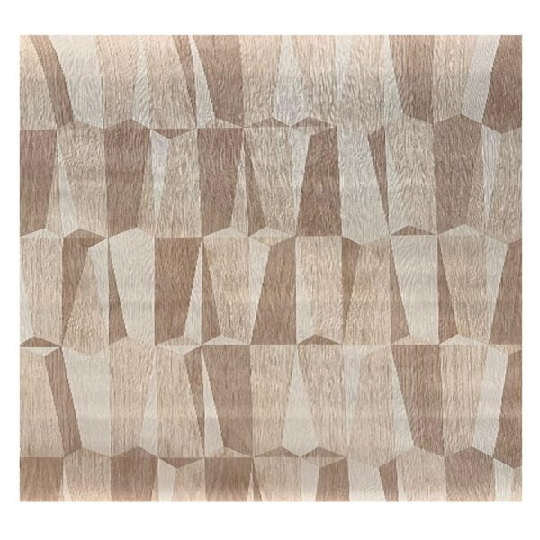 Papel Tapiz Modelo - T521-2