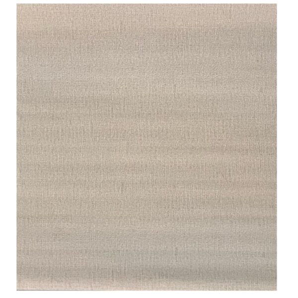 Papel Tapiz Modelo - ZY911