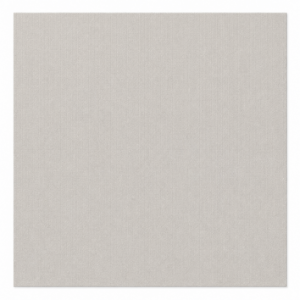 Planchas Lisa - Color lino Textil Beige
