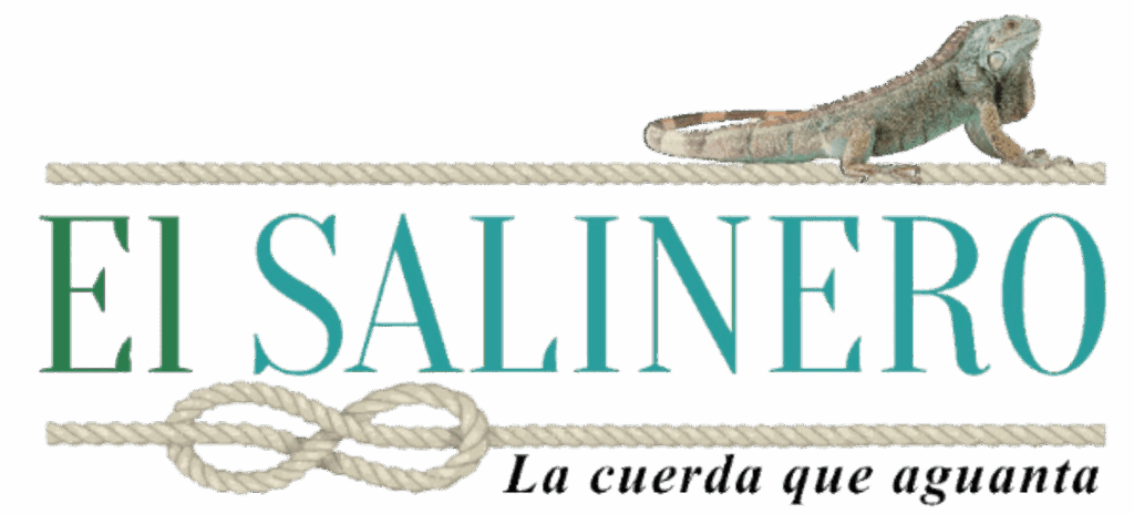Logo El Salinero